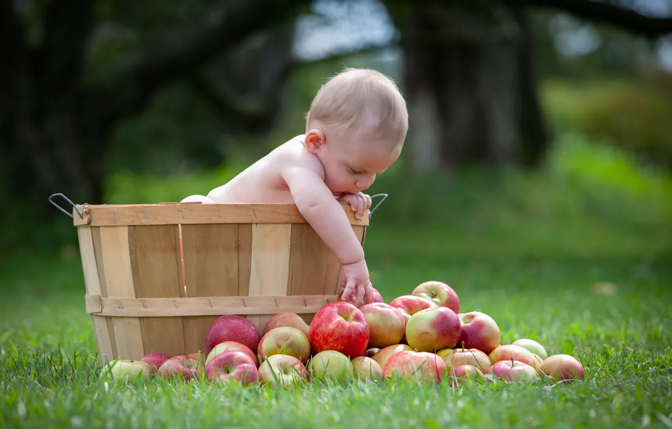 Фото обои трава, яблоки, малыш, ребёнок