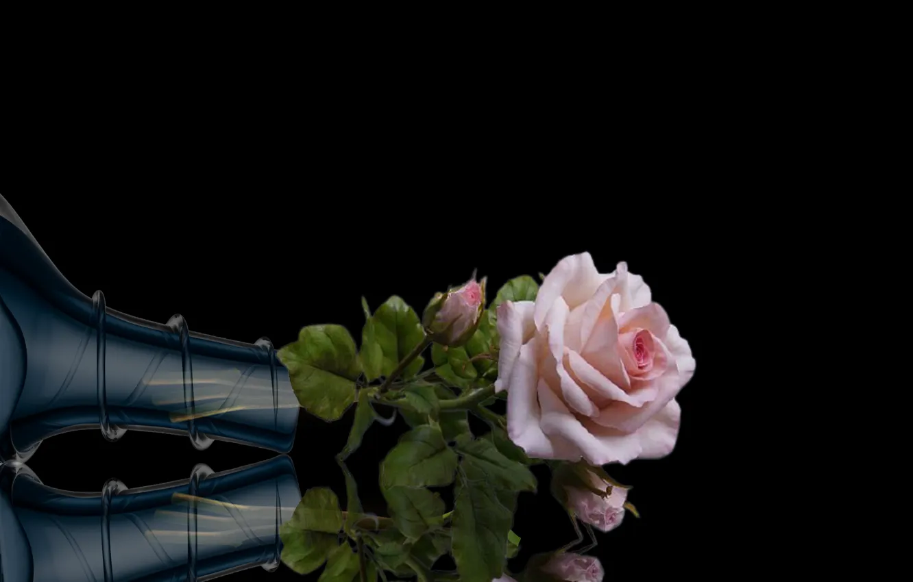 Фото обои scene, vase, roses, decoration, bouquette