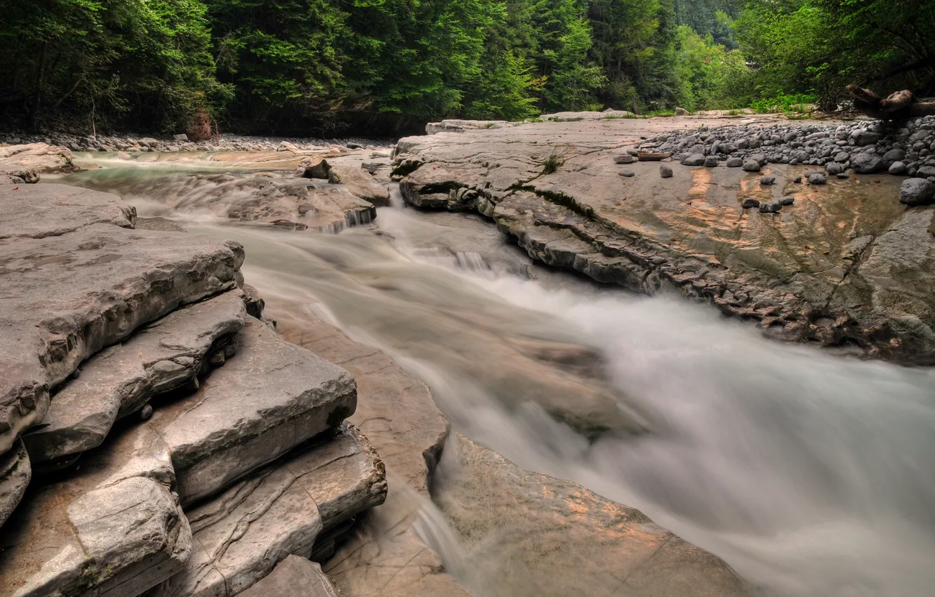 Фото обои лес, вода, деревья, река, камни, течение, пороги