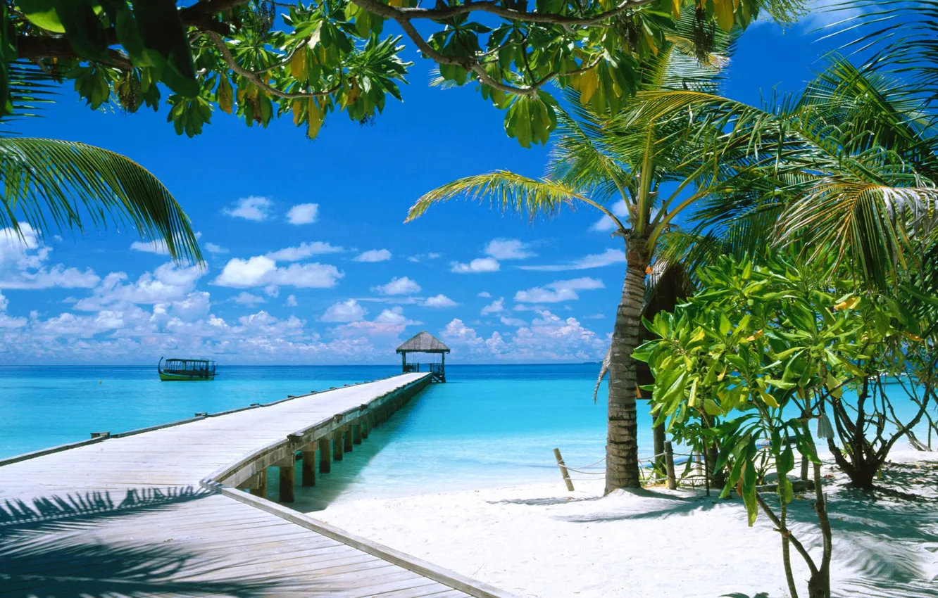 Фото обои песок, море, пляж, небо, облака, пальмы, отдых, рай