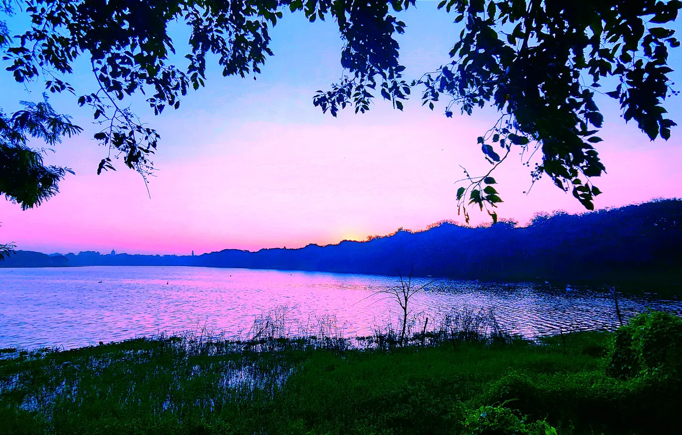 Фото обои Sky, Grass, Water, Sunrise, Dawn, Morning, Lake, Trees