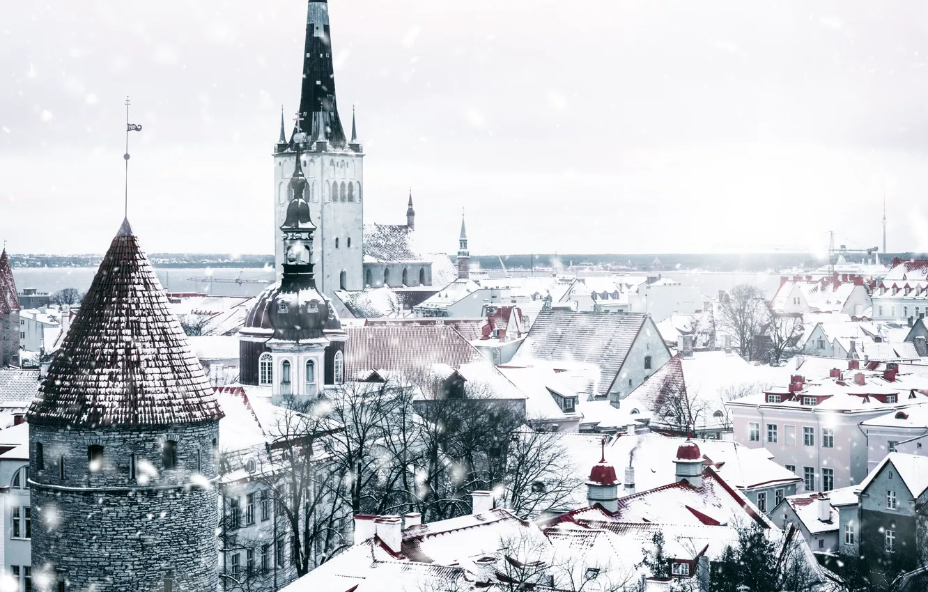 Фото обои city, white, winter, snow, Tallinn, Estonia, architecture, snowfall