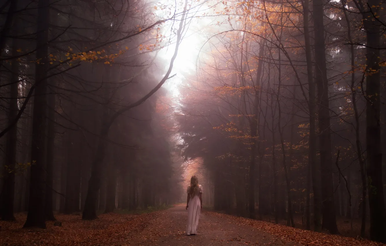 Фото обои дорога, лес, девушка, туман