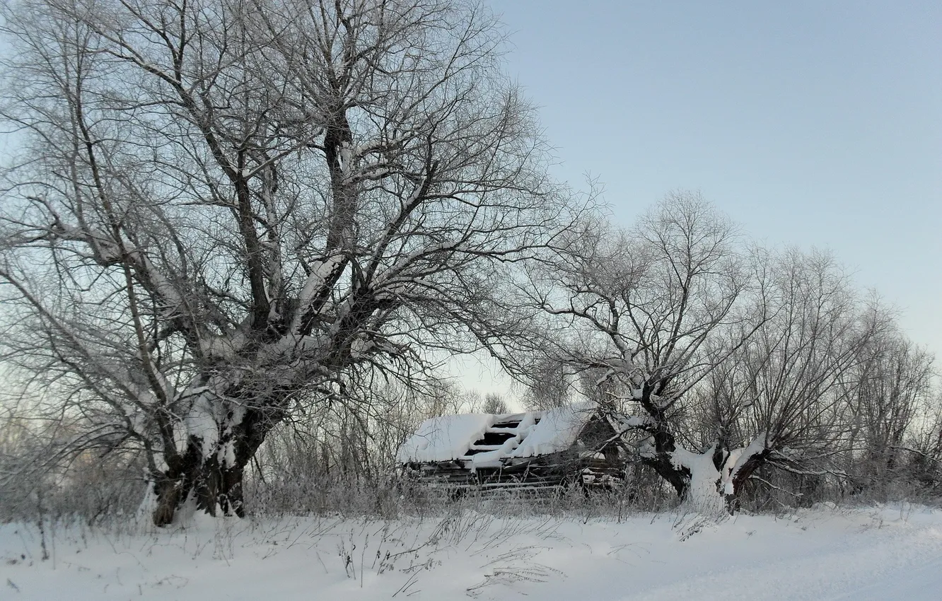 Фото обои зима, снег, дом, дерево