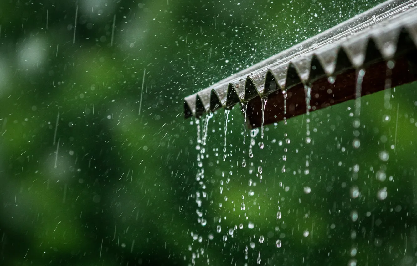 Фото обои крыша, капли, брызги, дождь, обои, wallpaper, rain, splashes