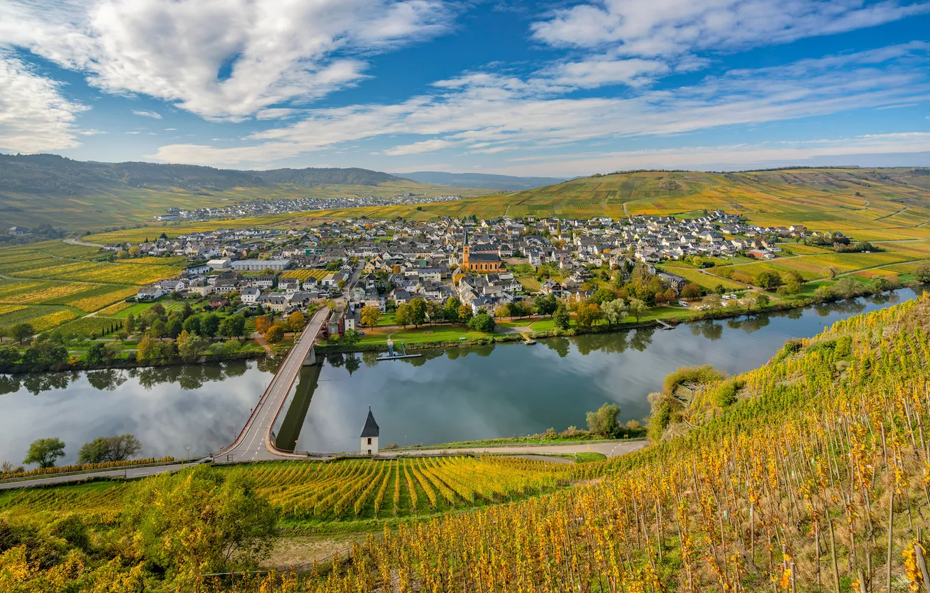 Фото обои Осень, Германия, Пейзаж, Виноградник, Реки, Мосты, Trittenheim