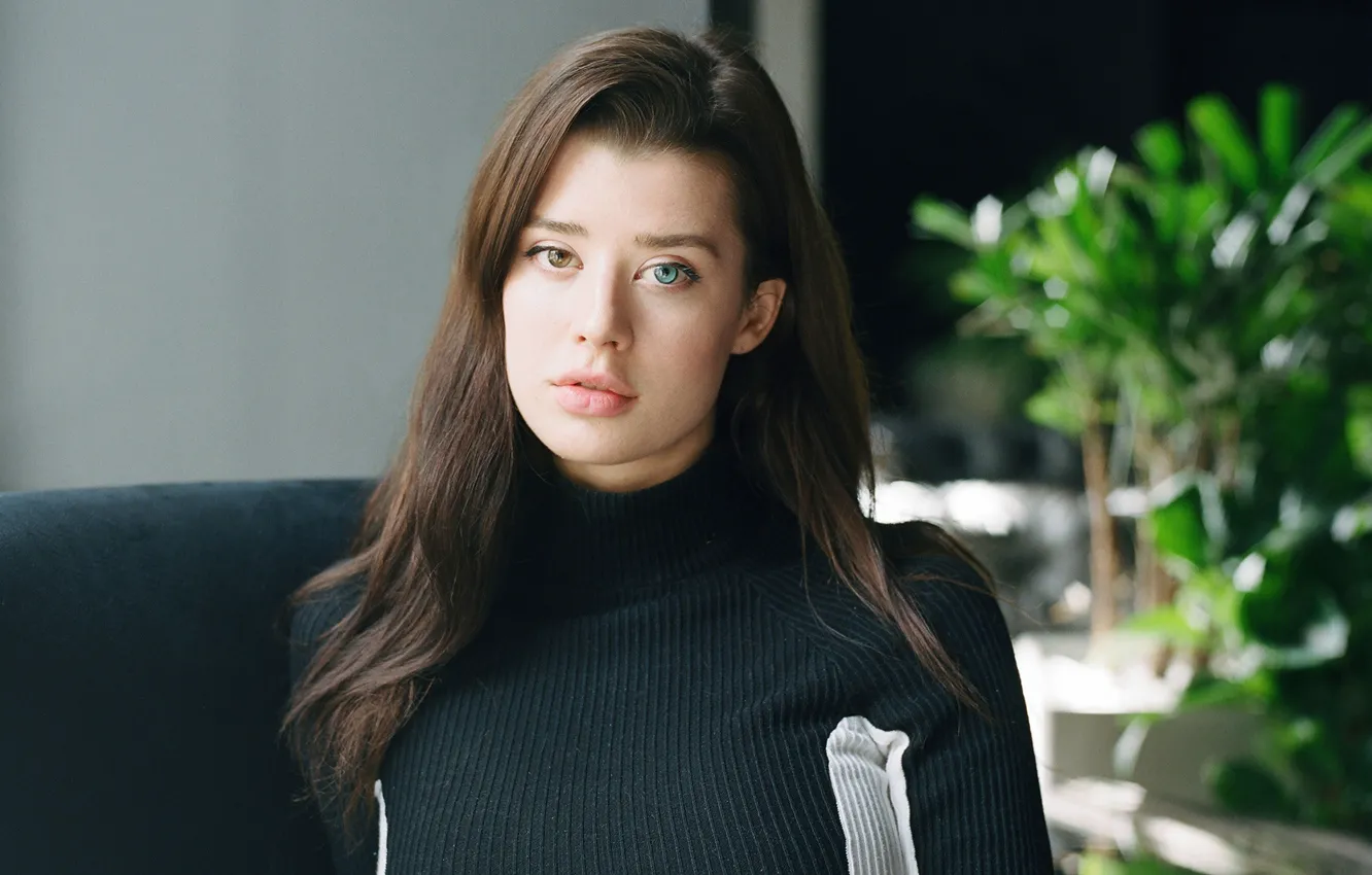 Фото обои взгляд, девушка, лицо, волосы, Sarah McDaniel