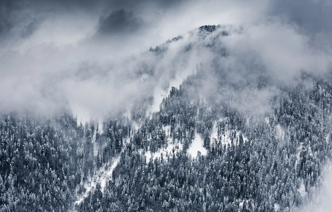 Фото обои зима, облака, снег, деревья, пейзаж, природа, обои, гора