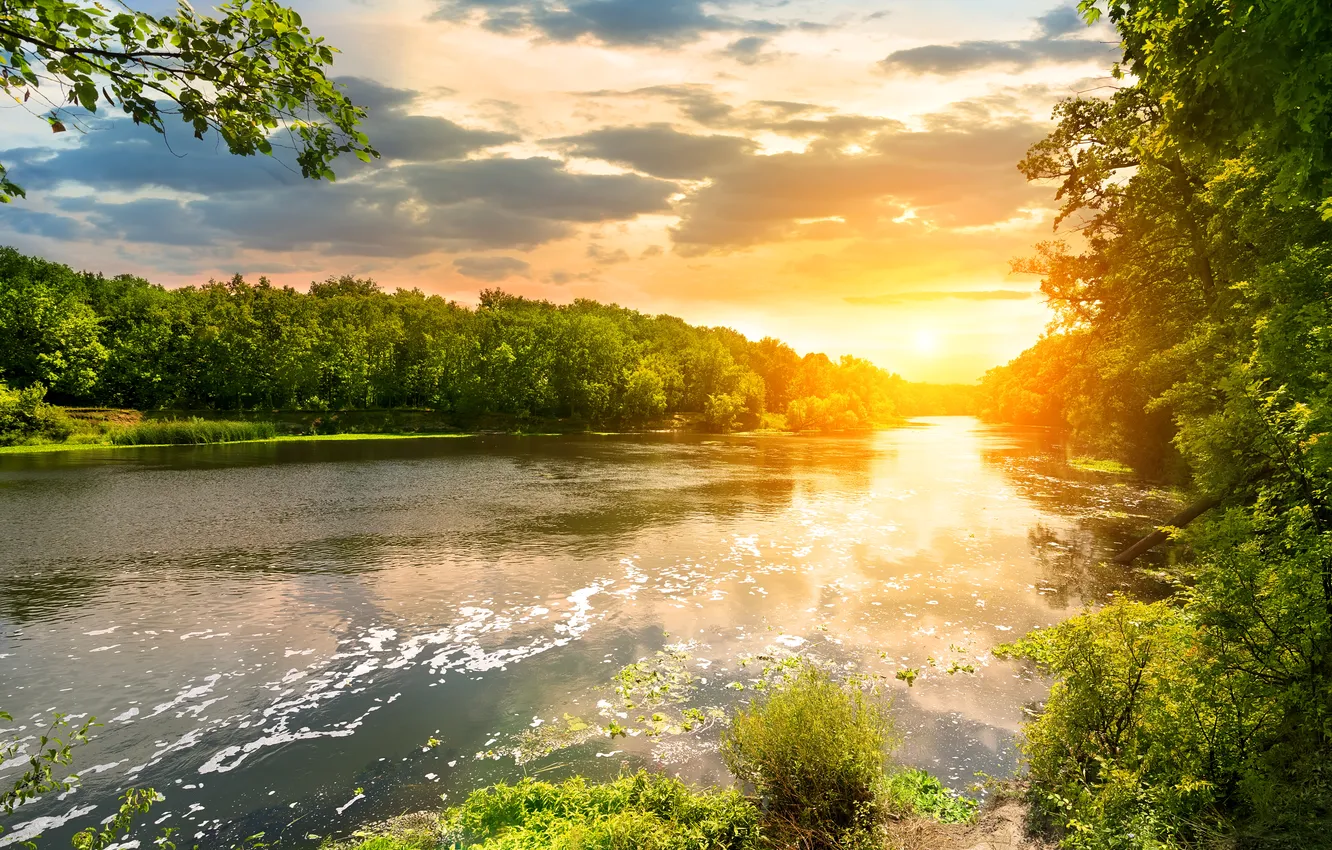 Фото обои лес, закат, река, forest, river, landscape, sunset