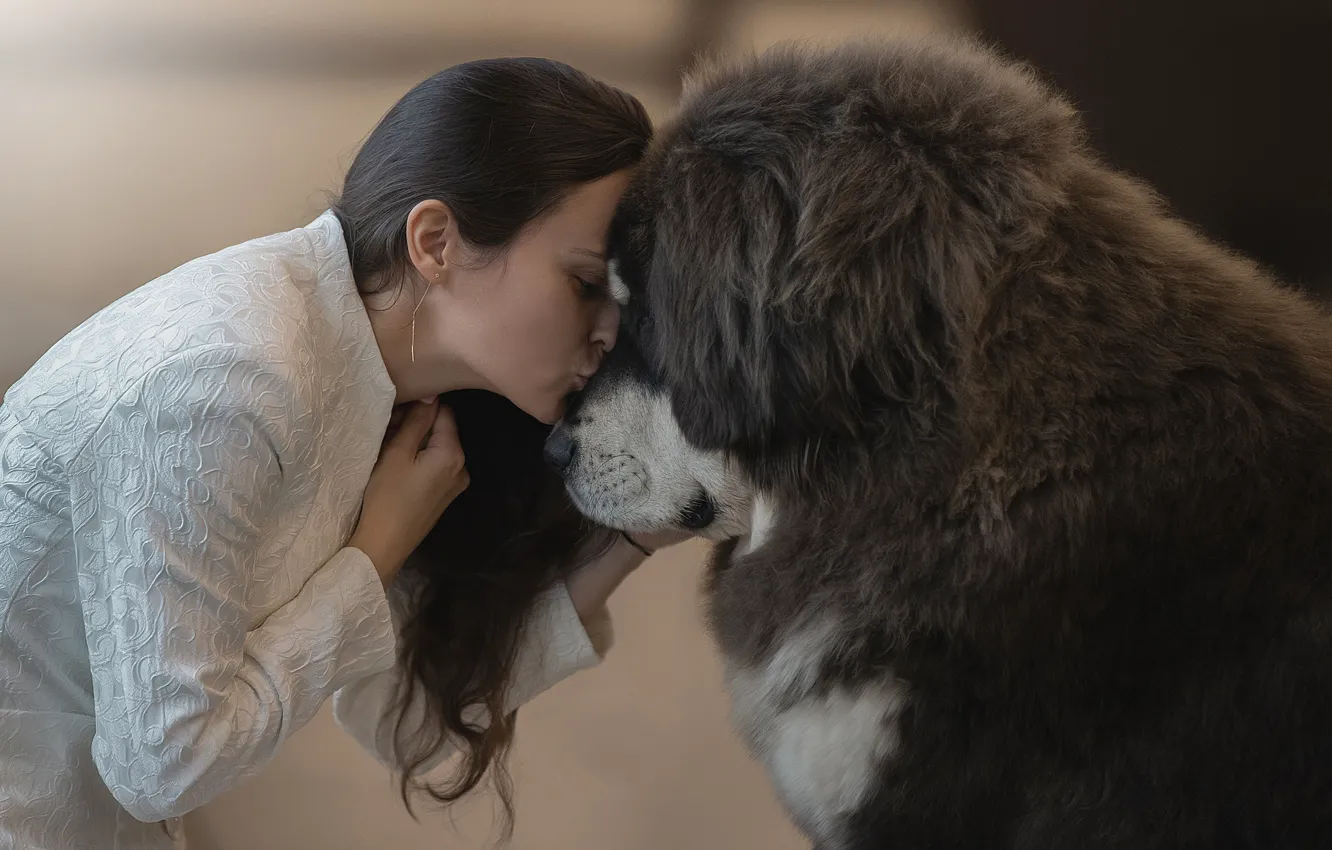 Фото обои девушка, друг, чувства, поцелуй, собака, girl, dog, kiss
