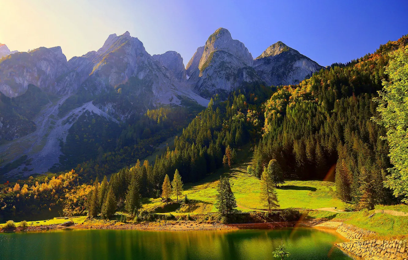 Фото обои осень, лес, деревья, горы, озеро, Австрия, Альпы, Austria