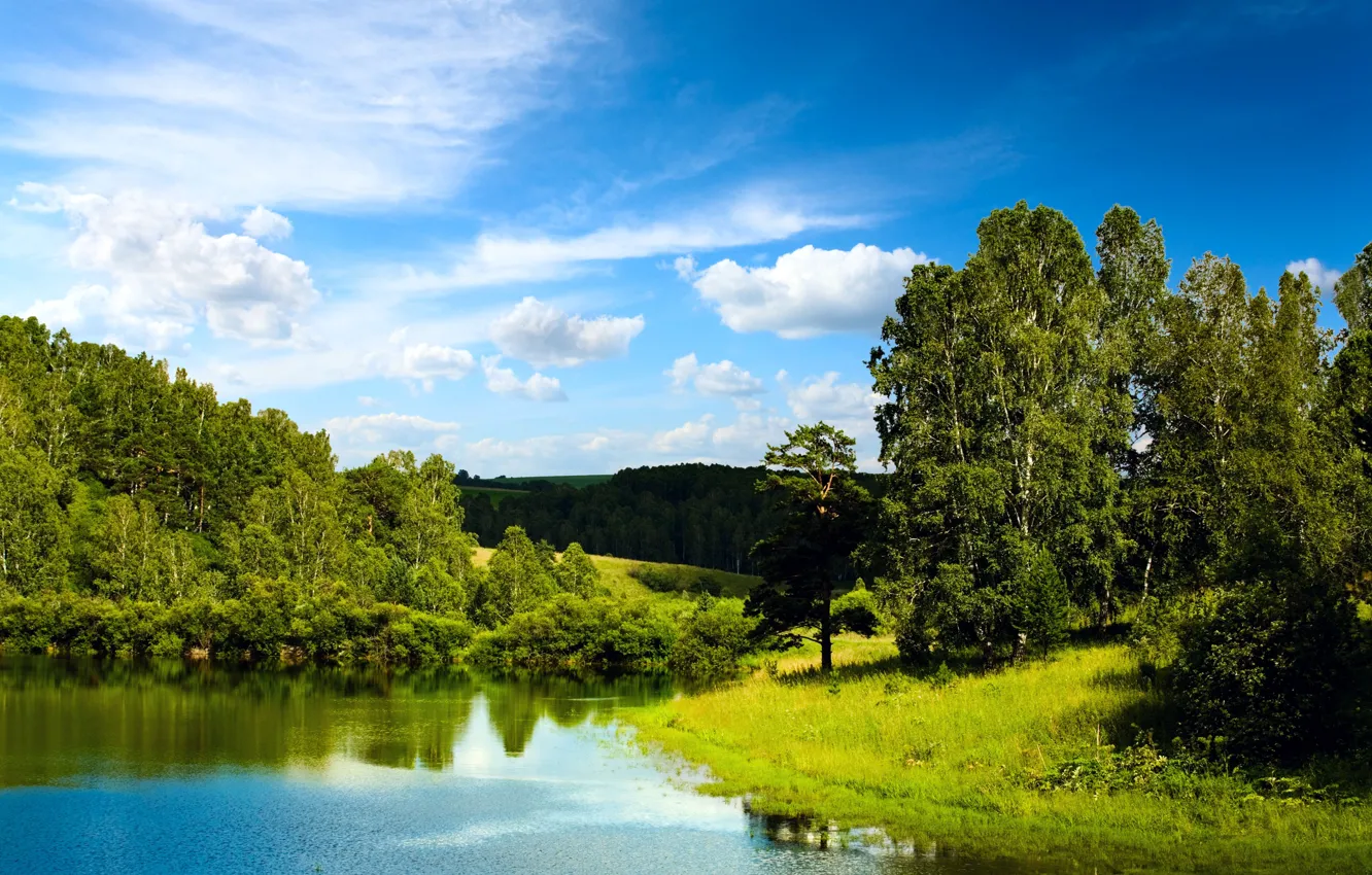 Фото обои лес, небо, вода, облака, деревья, озеро, отражение, голубое