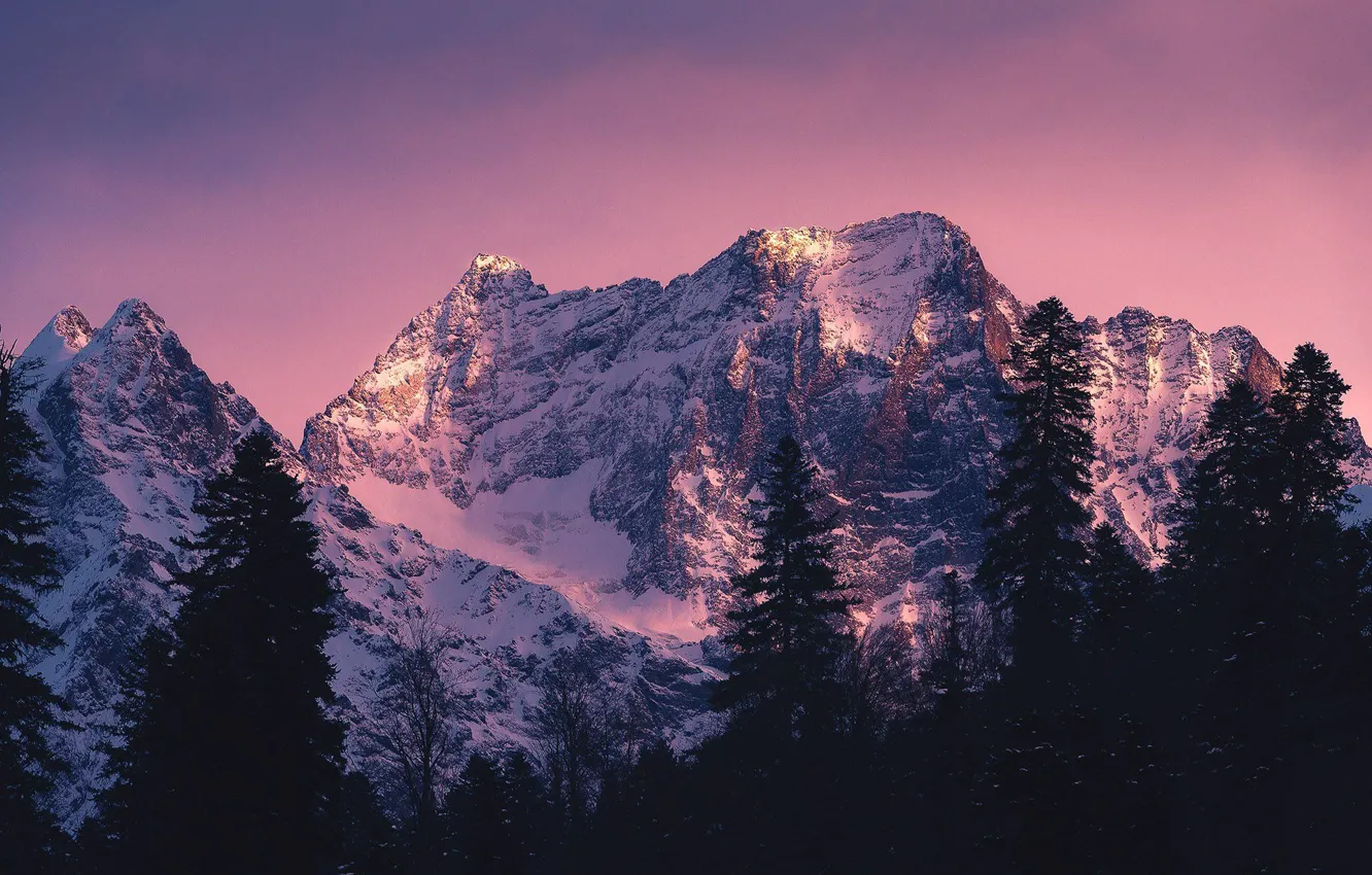 Фото обои зима, небо, снег, деревья, горы, природа, скалы