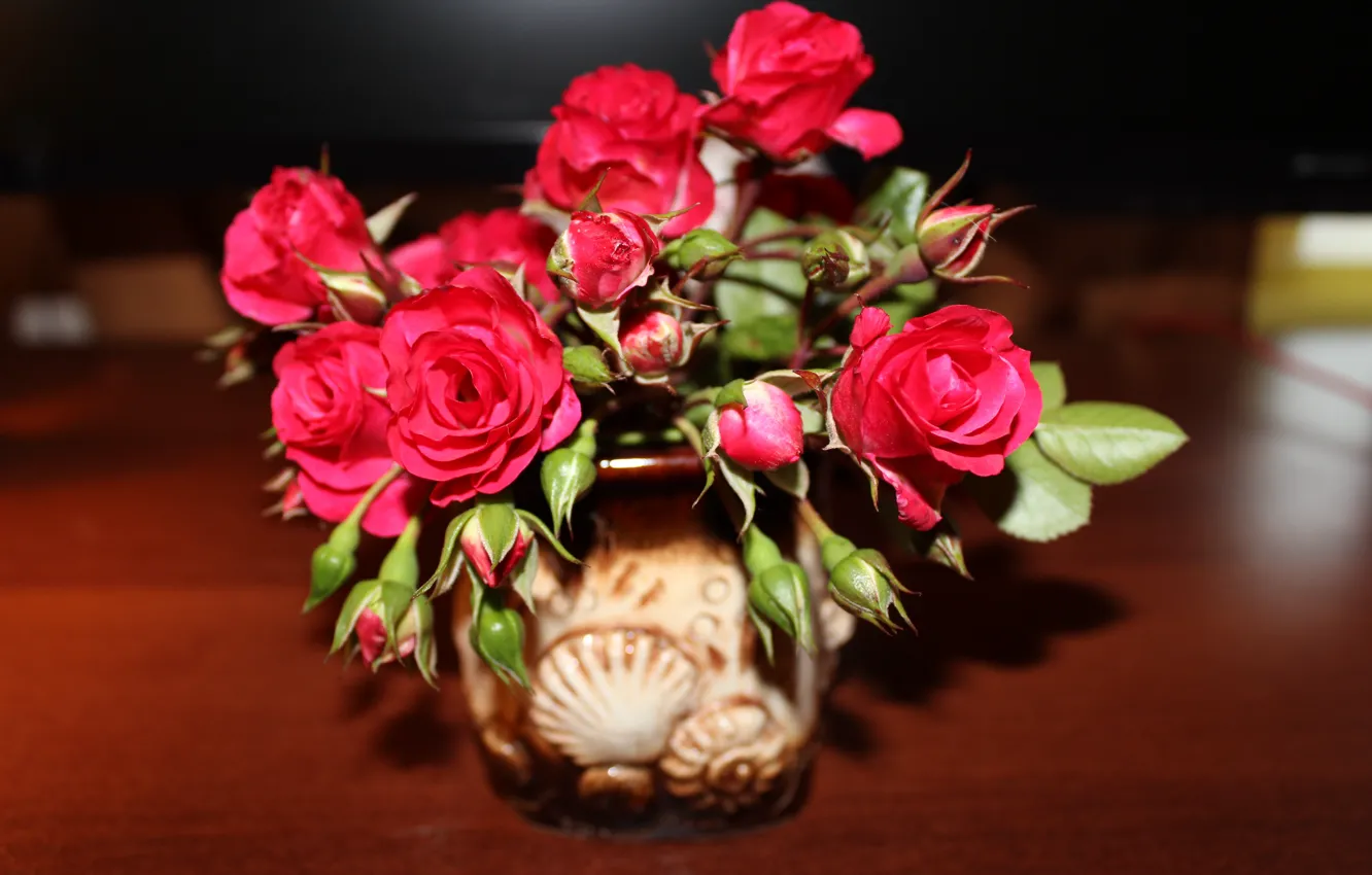 Фото обои цветок, роза, красная роза