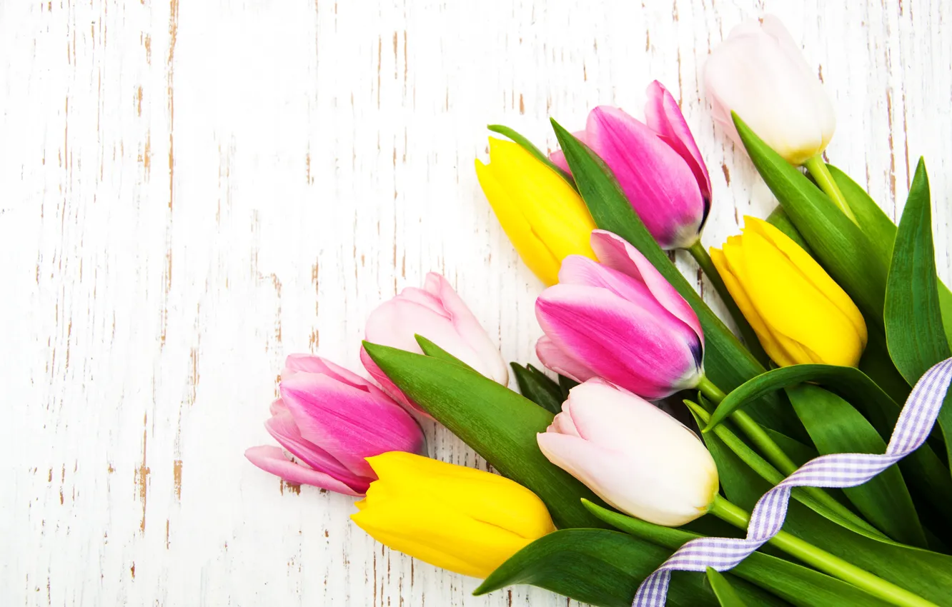 Фото обои белый, желтый, фон, букет, лента, тюльпаны, розовые, tulips