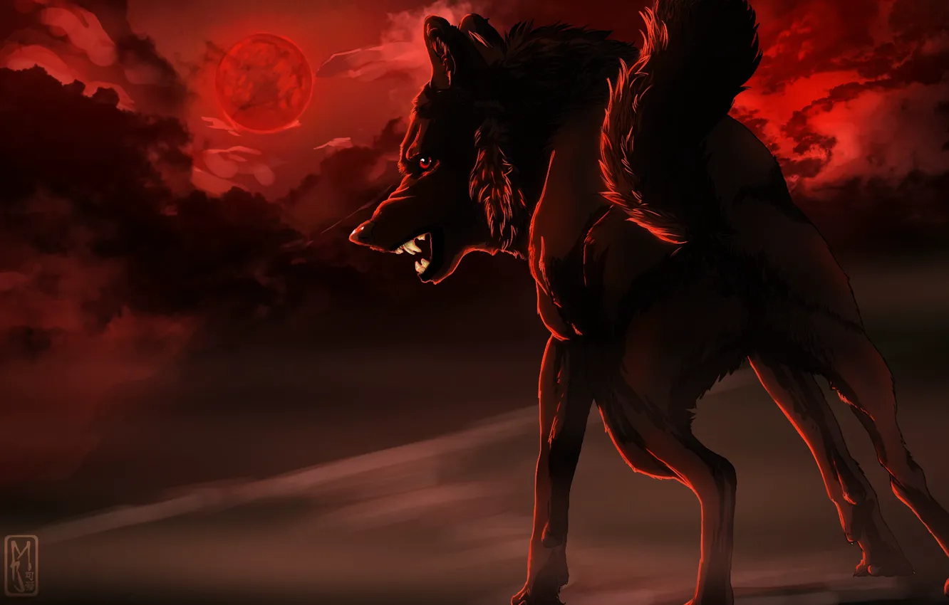 Фото обои фон, волк, хищник, клыки