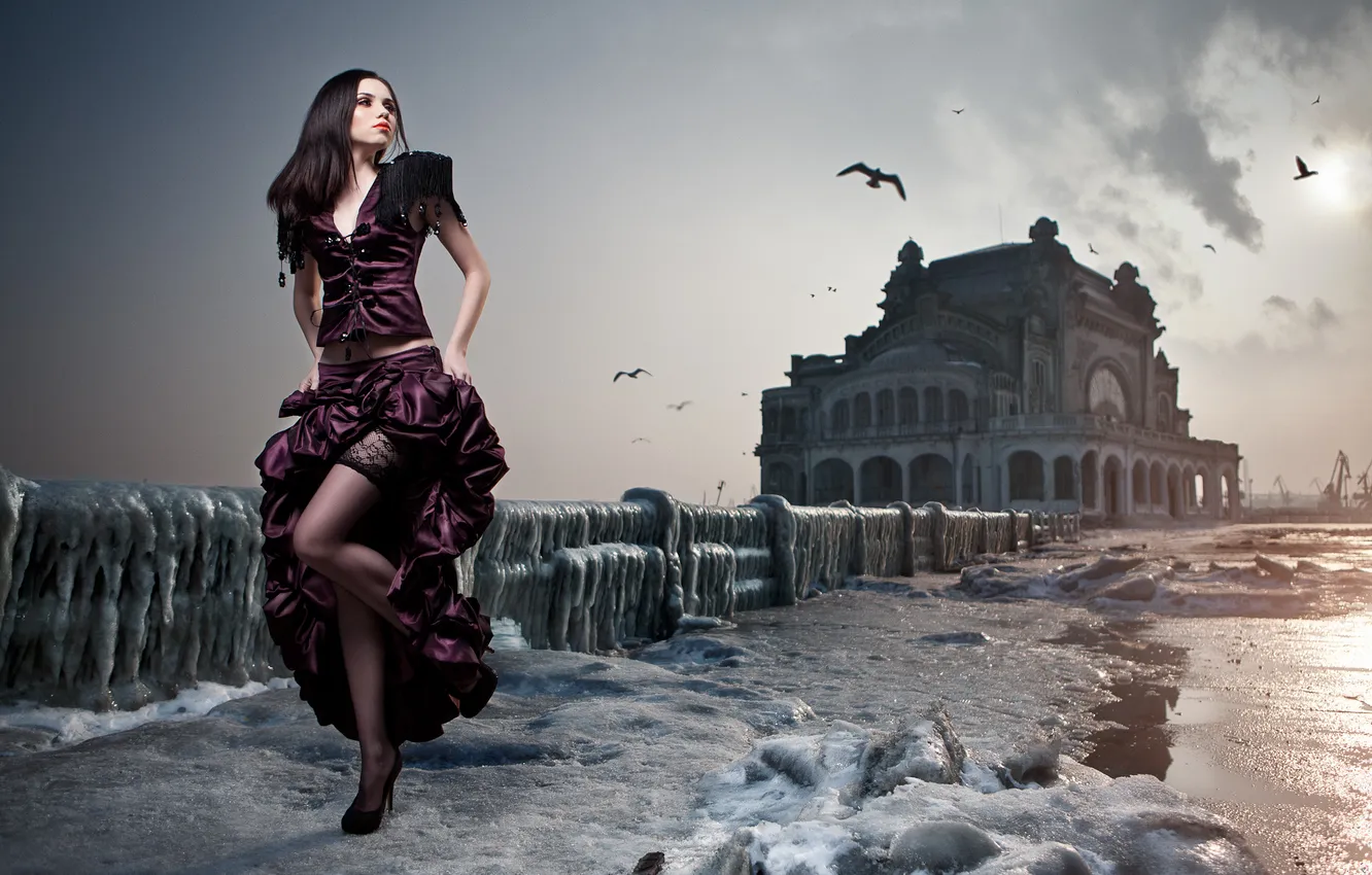 Фото обои птицы, лёд, чулки, платье, ножки, Daniel Ilinca