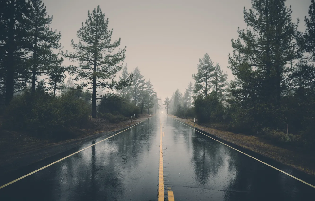 Фото обои дорога, деревья, машины, тучи, дождь, разделительная полоса