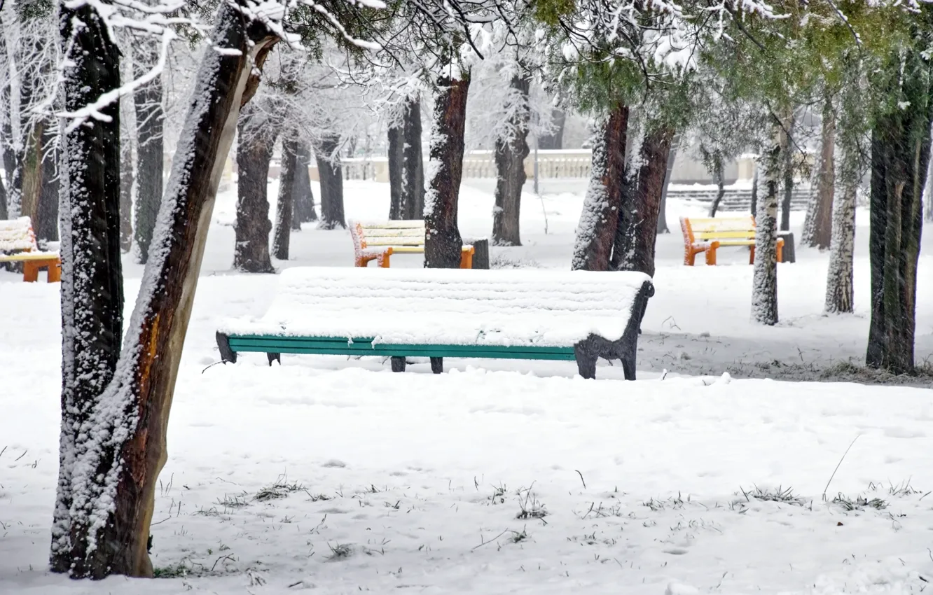 Фото обои деревья, скамейка, парк, winter, snow, зимний пейзаж