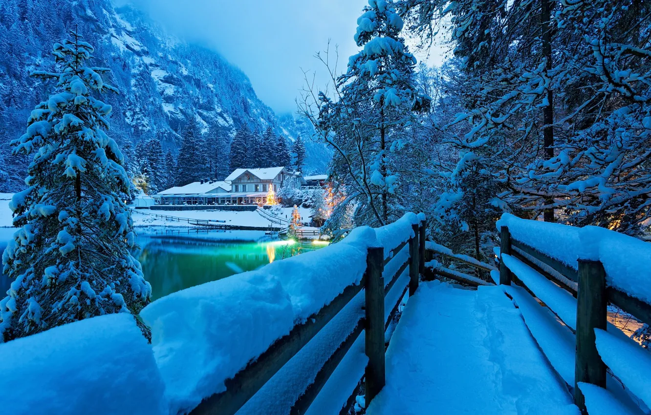 Фото обои зима, лес, снег, деревья, пейзаж, горы, природа, туман