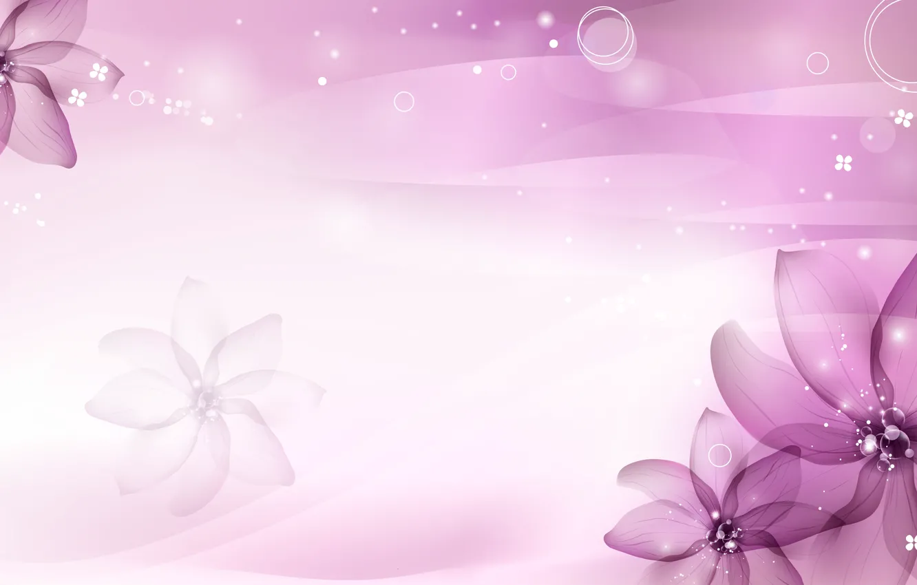 Фото обои фиолетовый, цветы, лепестки