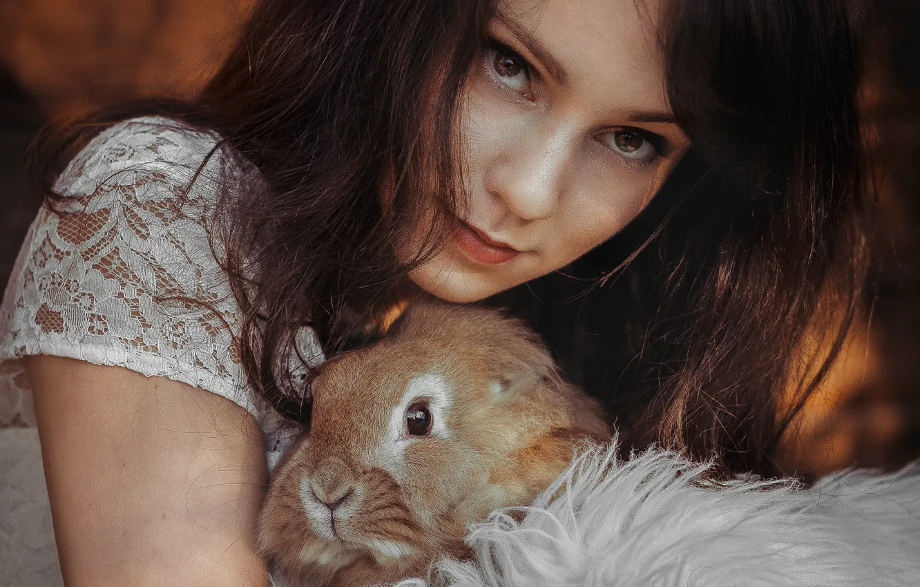 Фото обои девушка, кролик, кареглазая