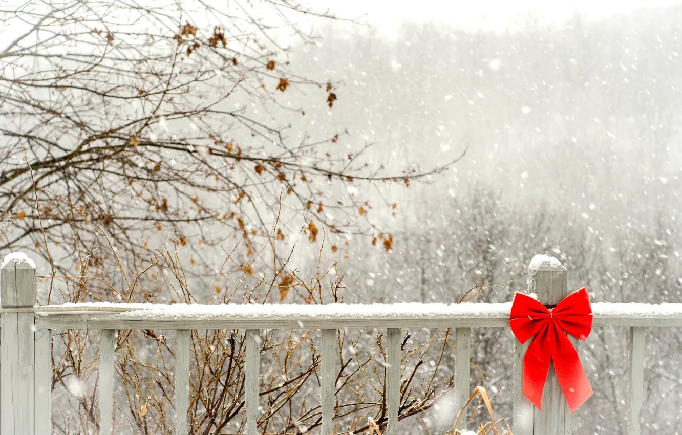 Фото обои зима, снег, деревья, ветки, красный, забор, ограда, деревянный
