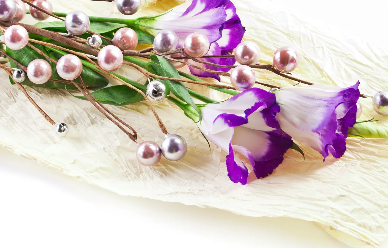 Фото обои цветы, фиолетовые, сиреневые цветы