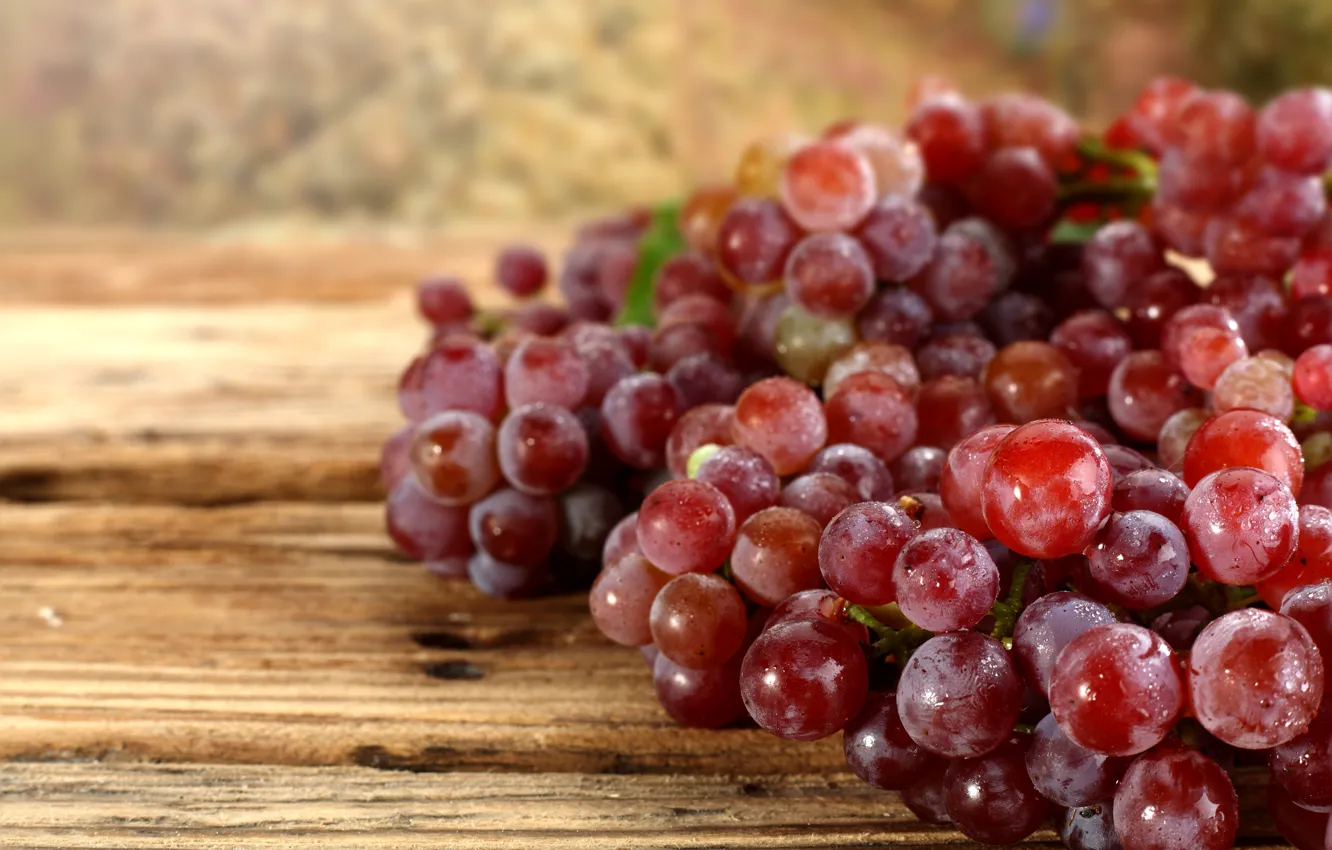 Фото обои осень, капли, ягоды, урожай, виноград, гроздь