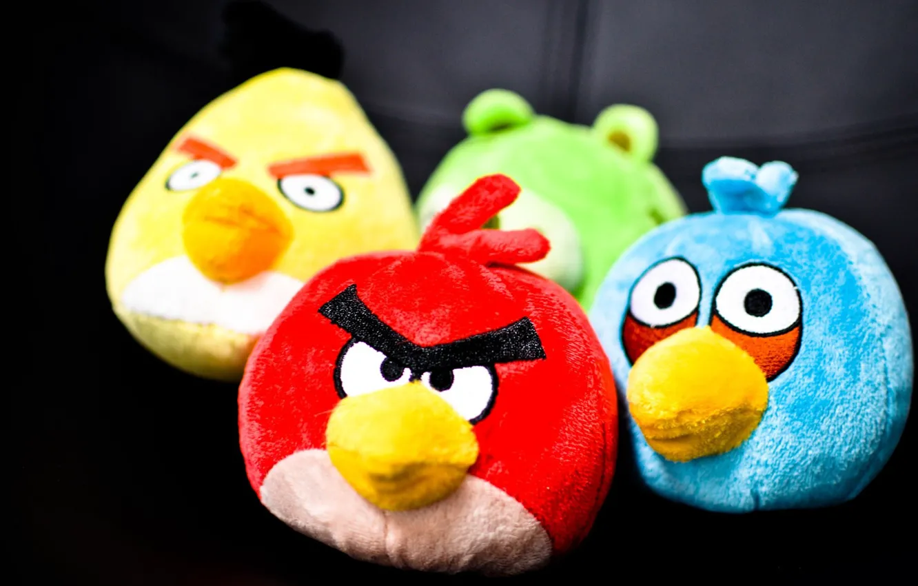 Фото обои птицы, Angry Birds, Энгри Бёрдс