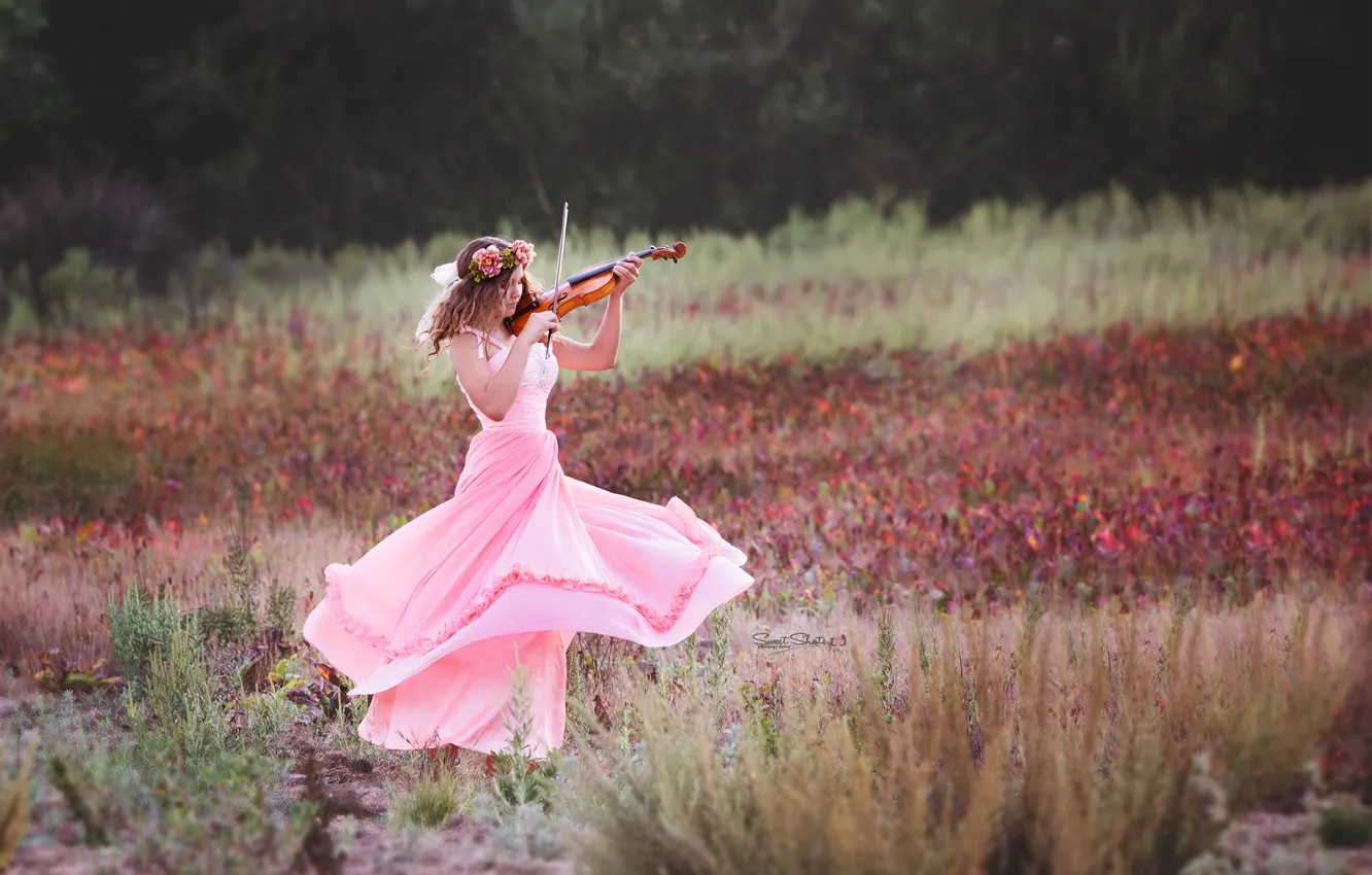 Фото обои лето, девушка, музыка, скрипка
