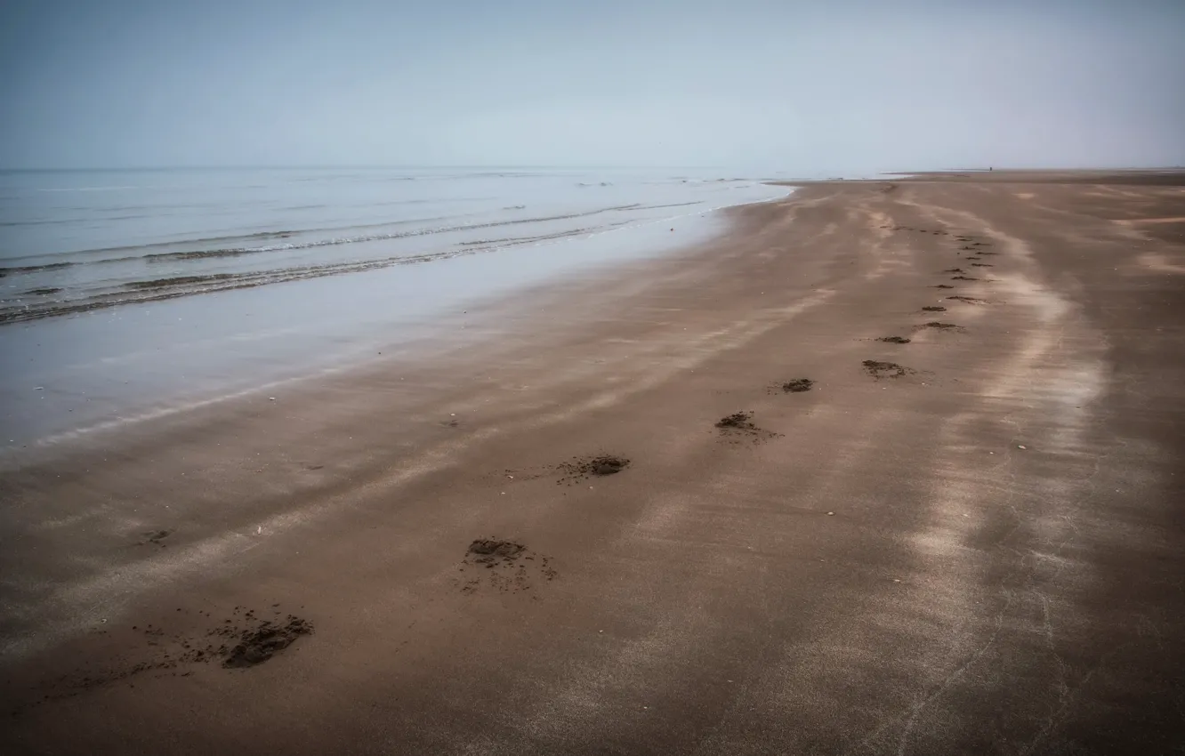 Фото обои море, следы, туман, берег