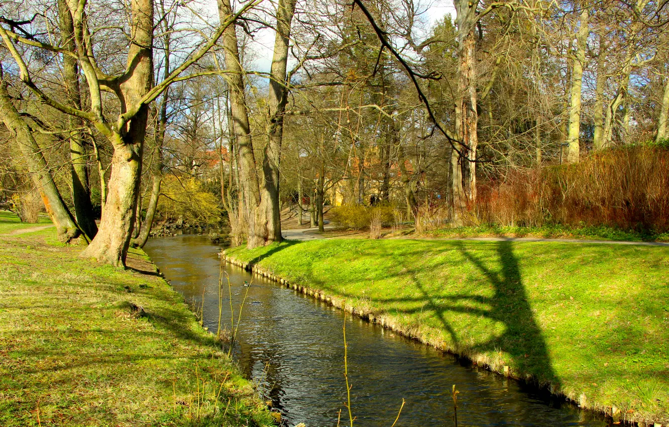 Фото обои river, trees, park