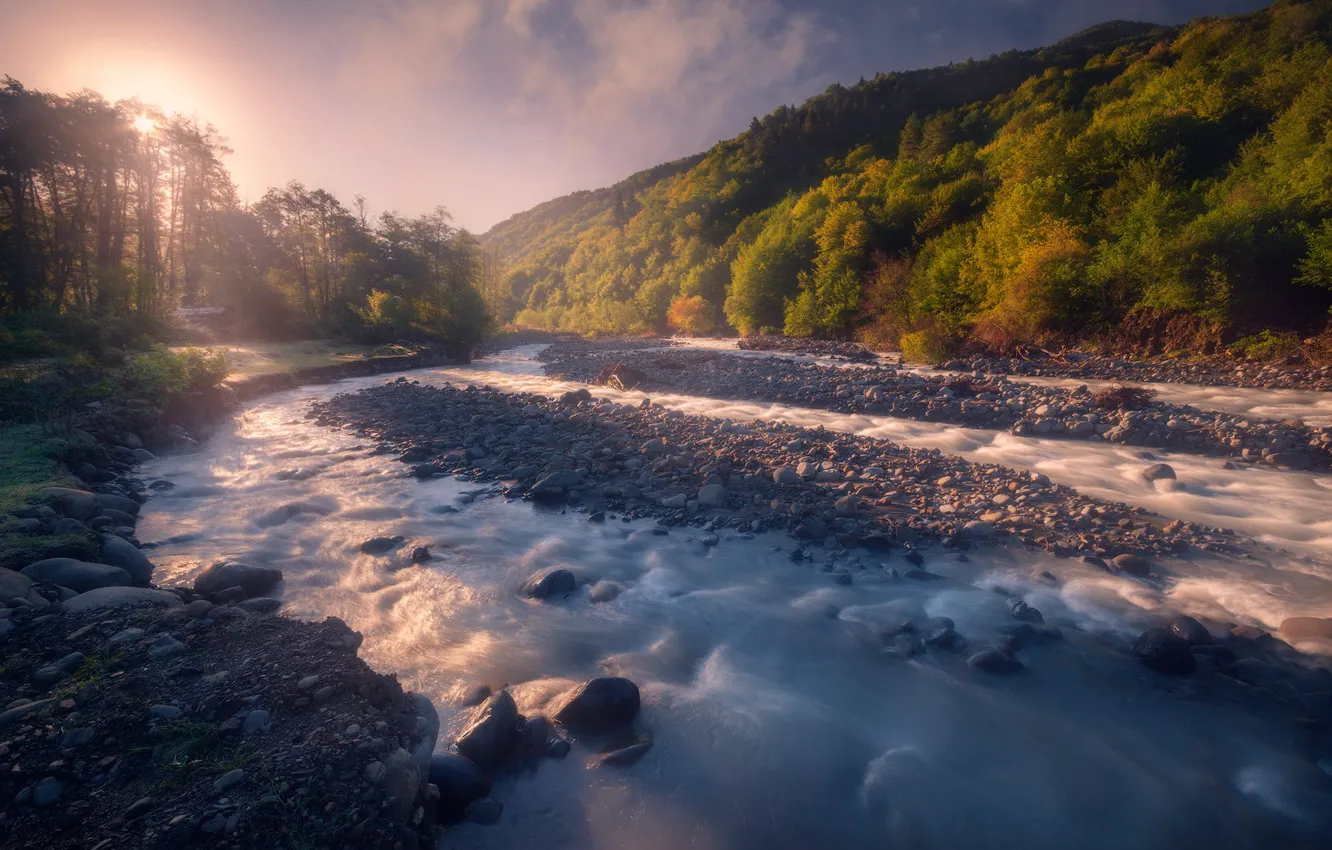 Фото обои осень, лес, свет, туман, галька, река, камни, берег