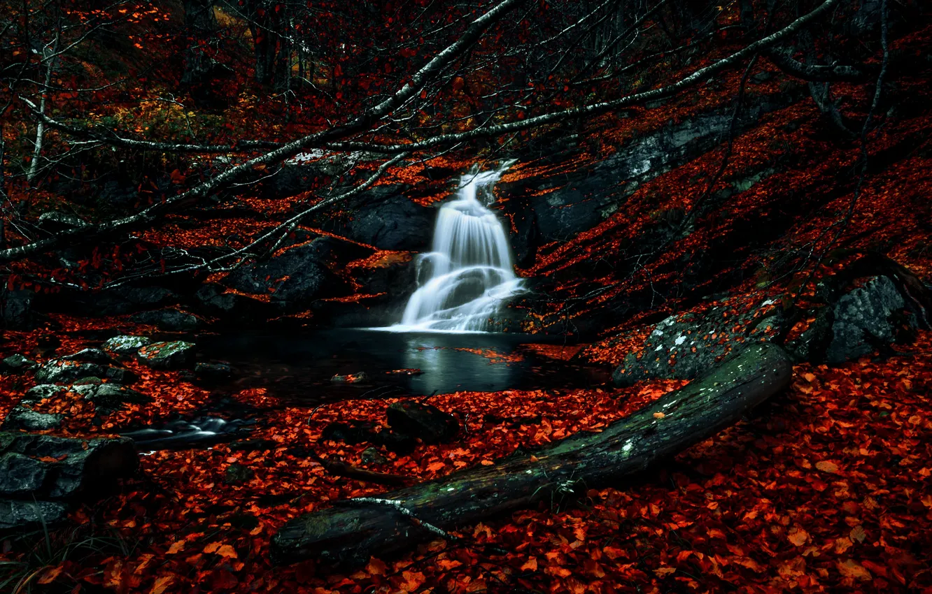 Фото обои осень, лес, ветки, камни, листва, водопад, бревно, листопад