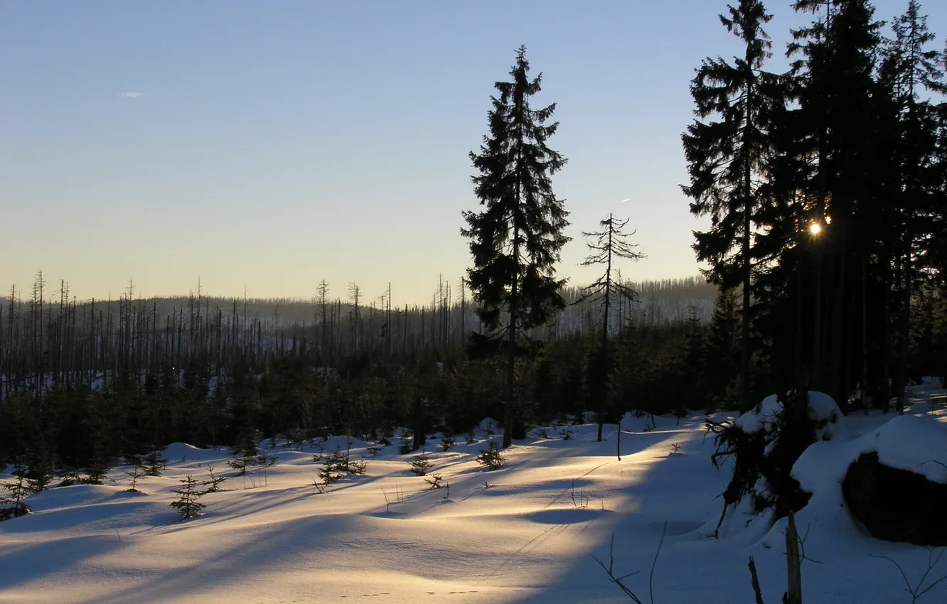 Фото обои зима, лес, снег, горы, Чехия, Шумава, narodni park Šumava, vrch Cerná hora