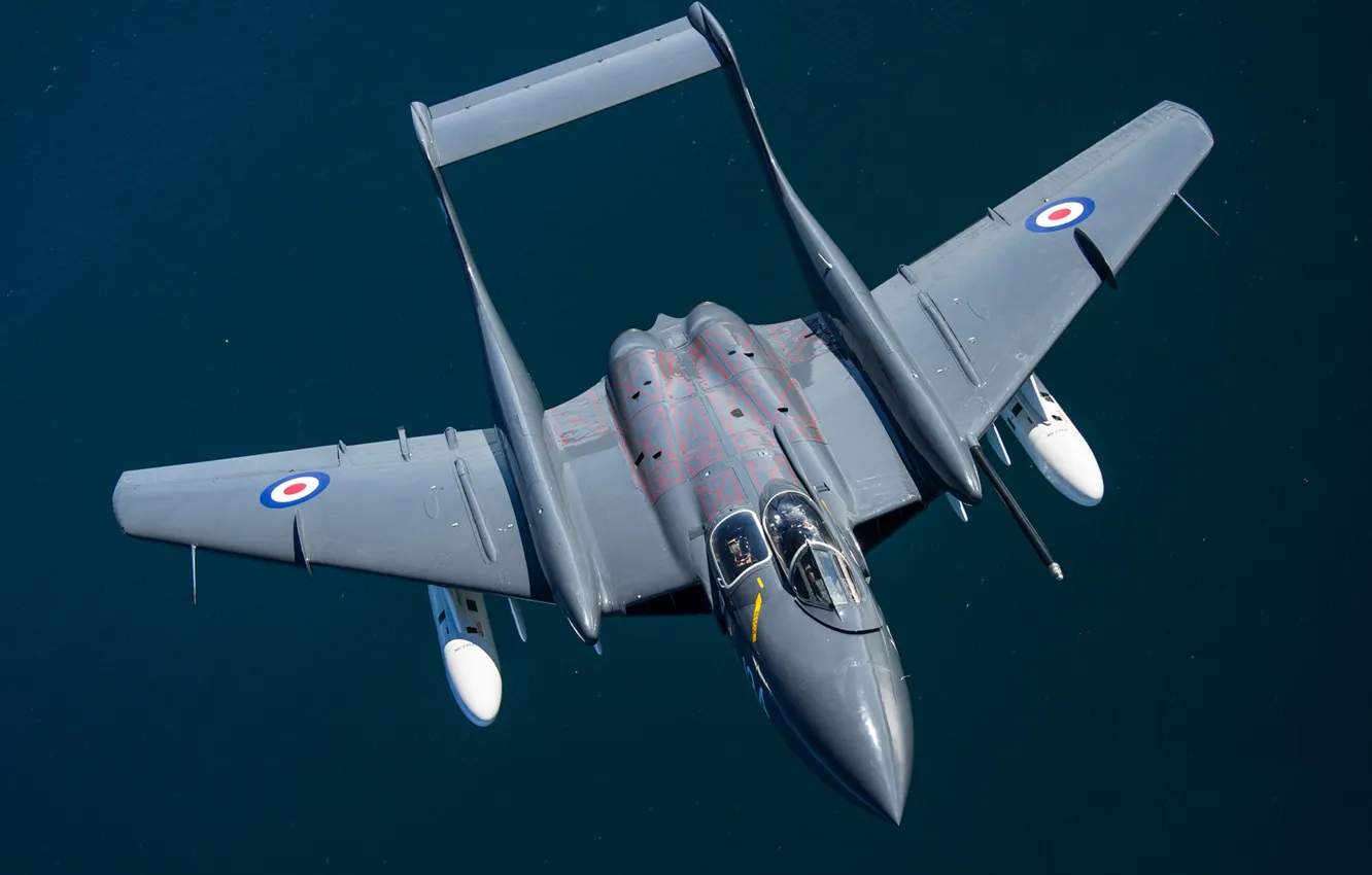 Фото обои Истребитель, RAF, Royal Navy, Sea Vixen, de Havilland Aircraft Company, de Havilland DH.110 Sea Vixen