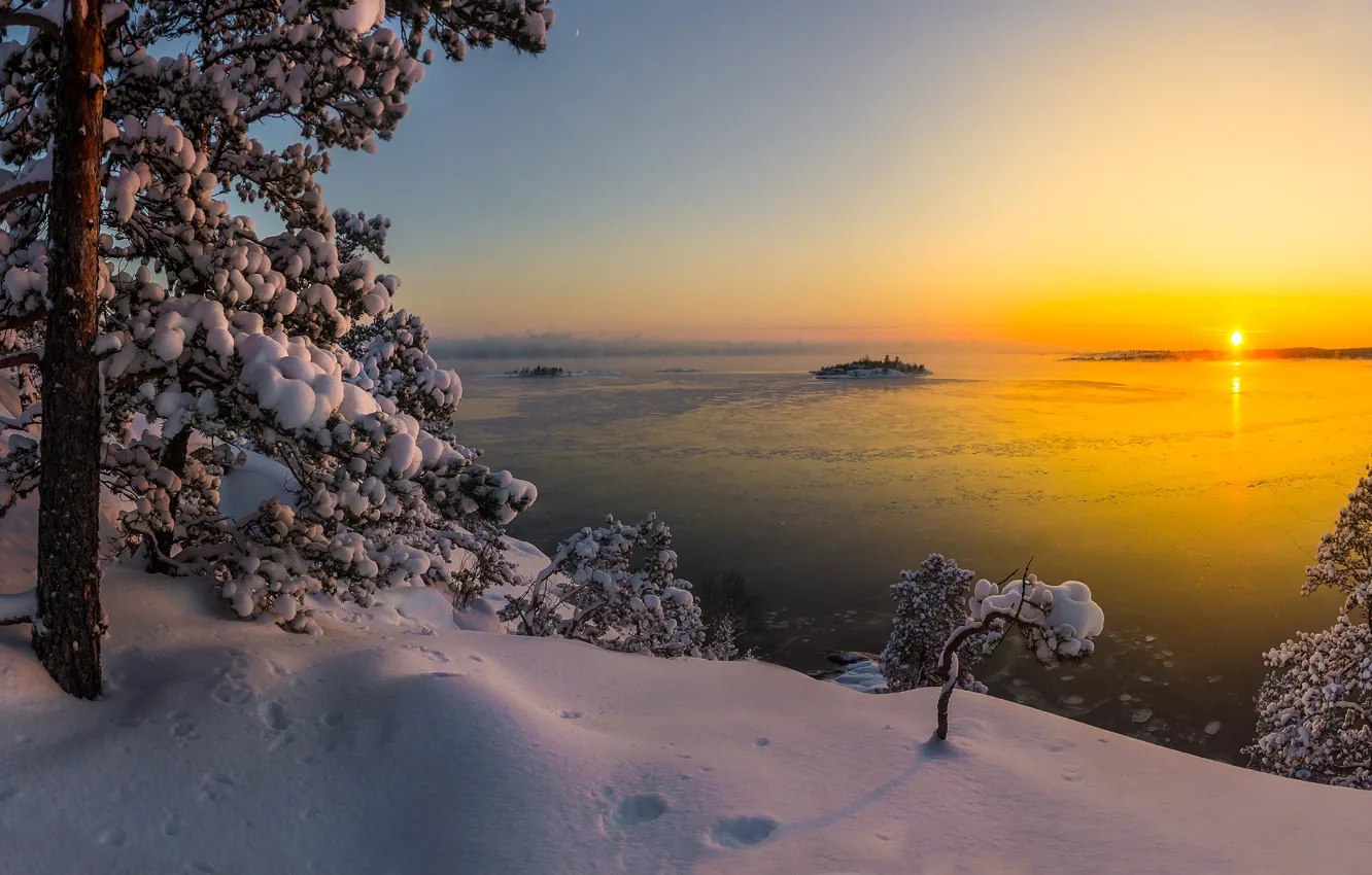 Фото обои зима, снег, деревья, пейзаж, природа, озеро, сосны, карелия
