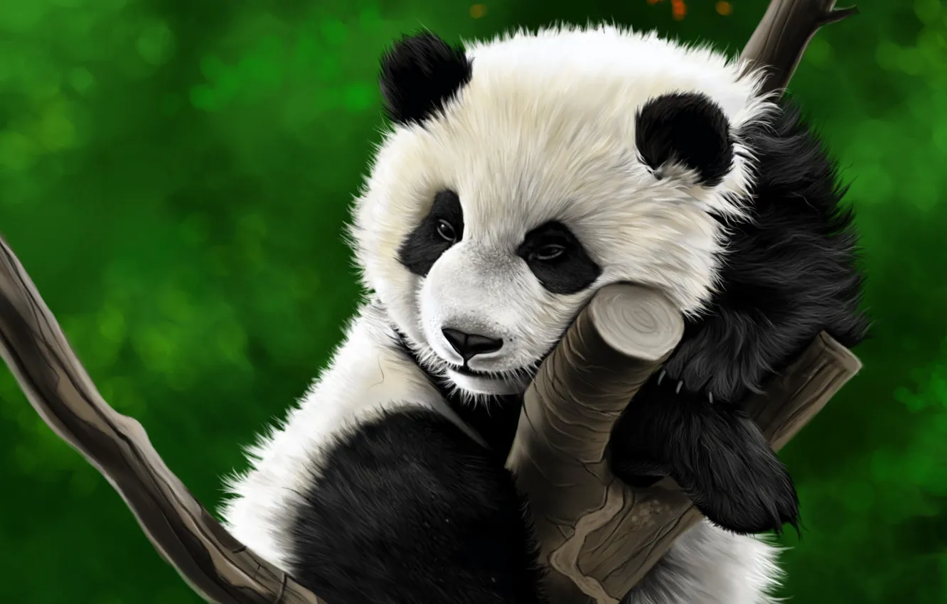 Фото обои дерево, рисунок, панда