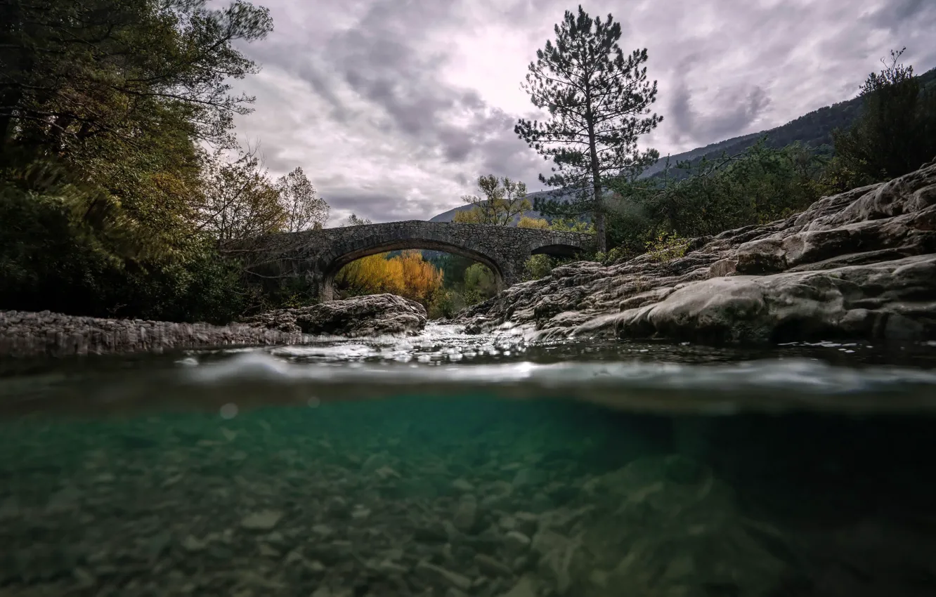 Фото обои мост, природа, река