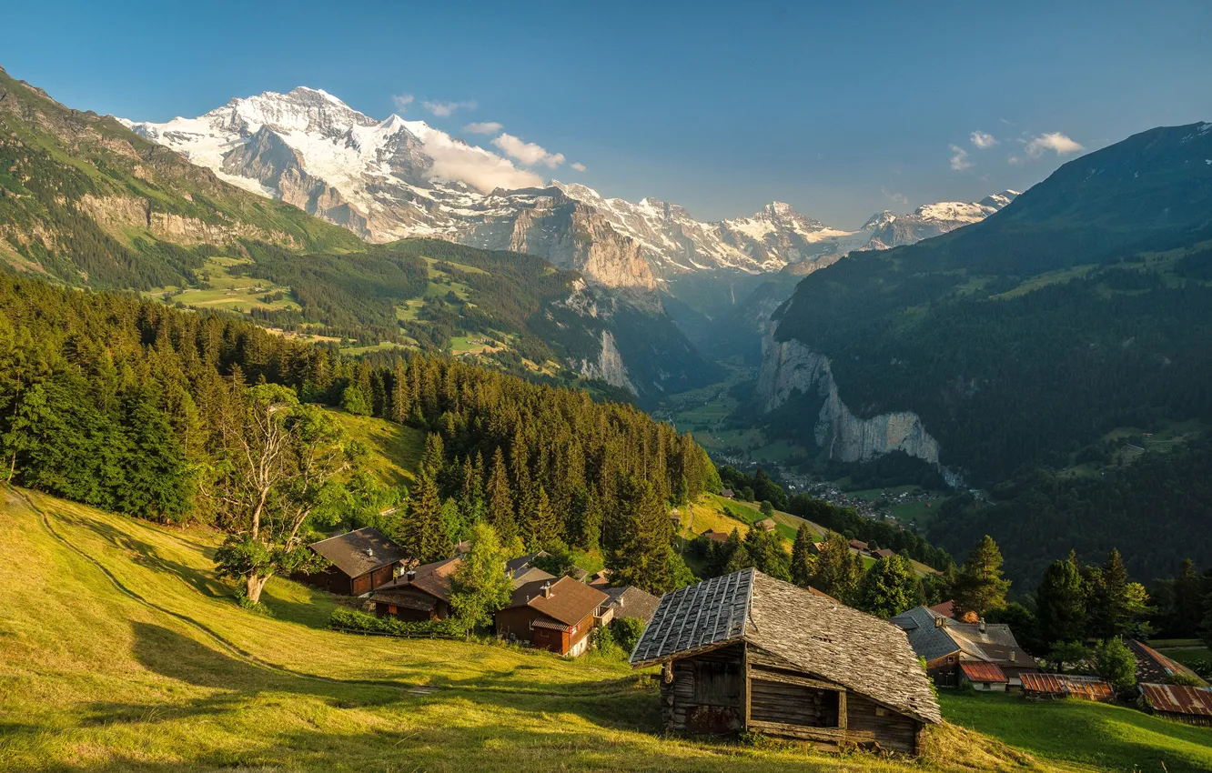 Фото обои лес, небо, солнце, деревья, горы, скалы, Швейцария, долина