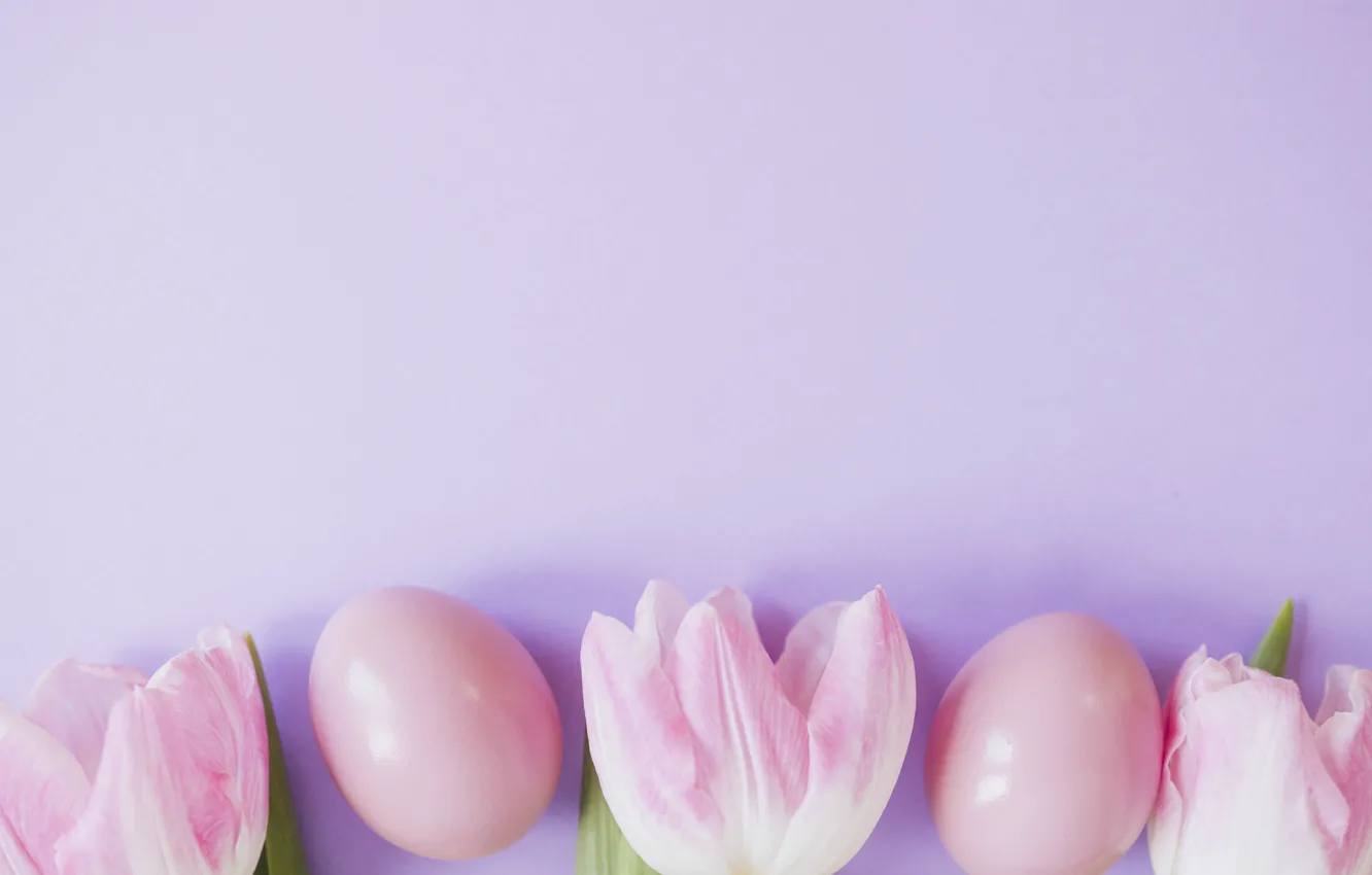 Фото обои фон, розовый, весна, пасха, Яйца, тюльпаны