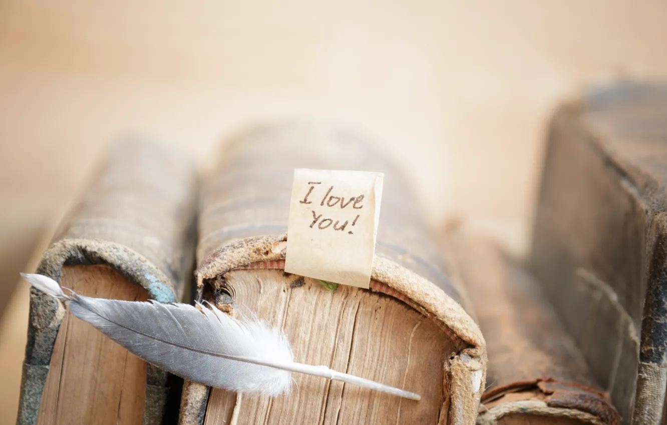 Фото обои перья, книга, love, vintage, i love you, heart, romantic, book