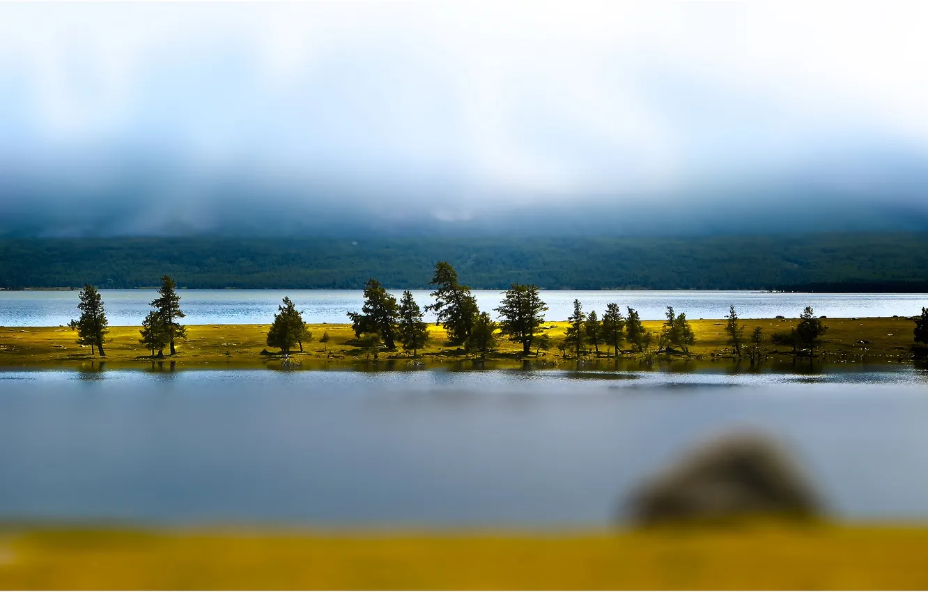 Фото обои осень, деревья, озеро, остров