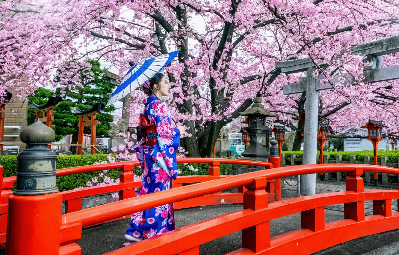 Фото обои мост, вишня, японка, весна, зонт, Япония, сакура, Japan