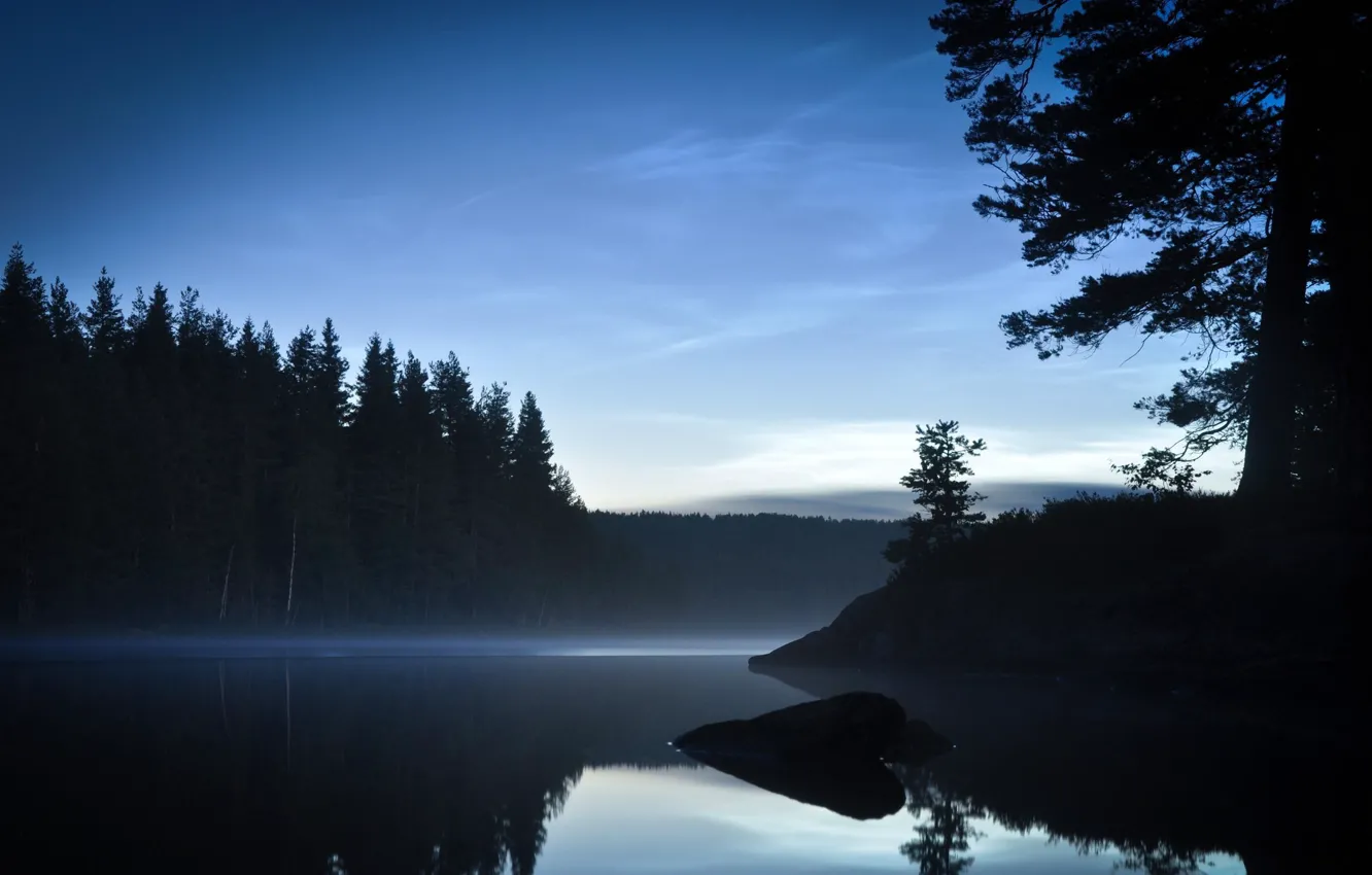 Фото обои лес, деревья, озеро, Day Or Night