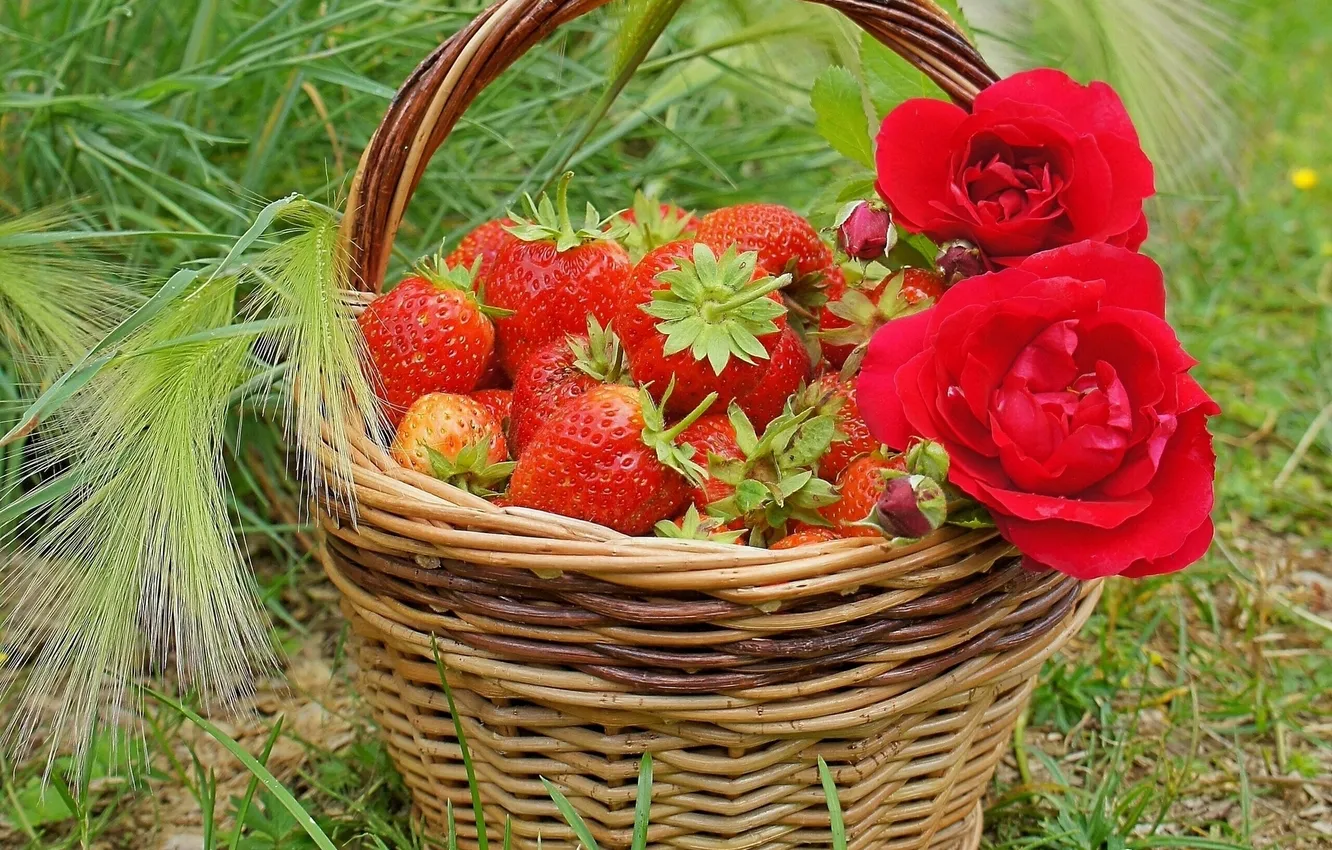 Фото обои ягоды, розы, клубника, корзинка