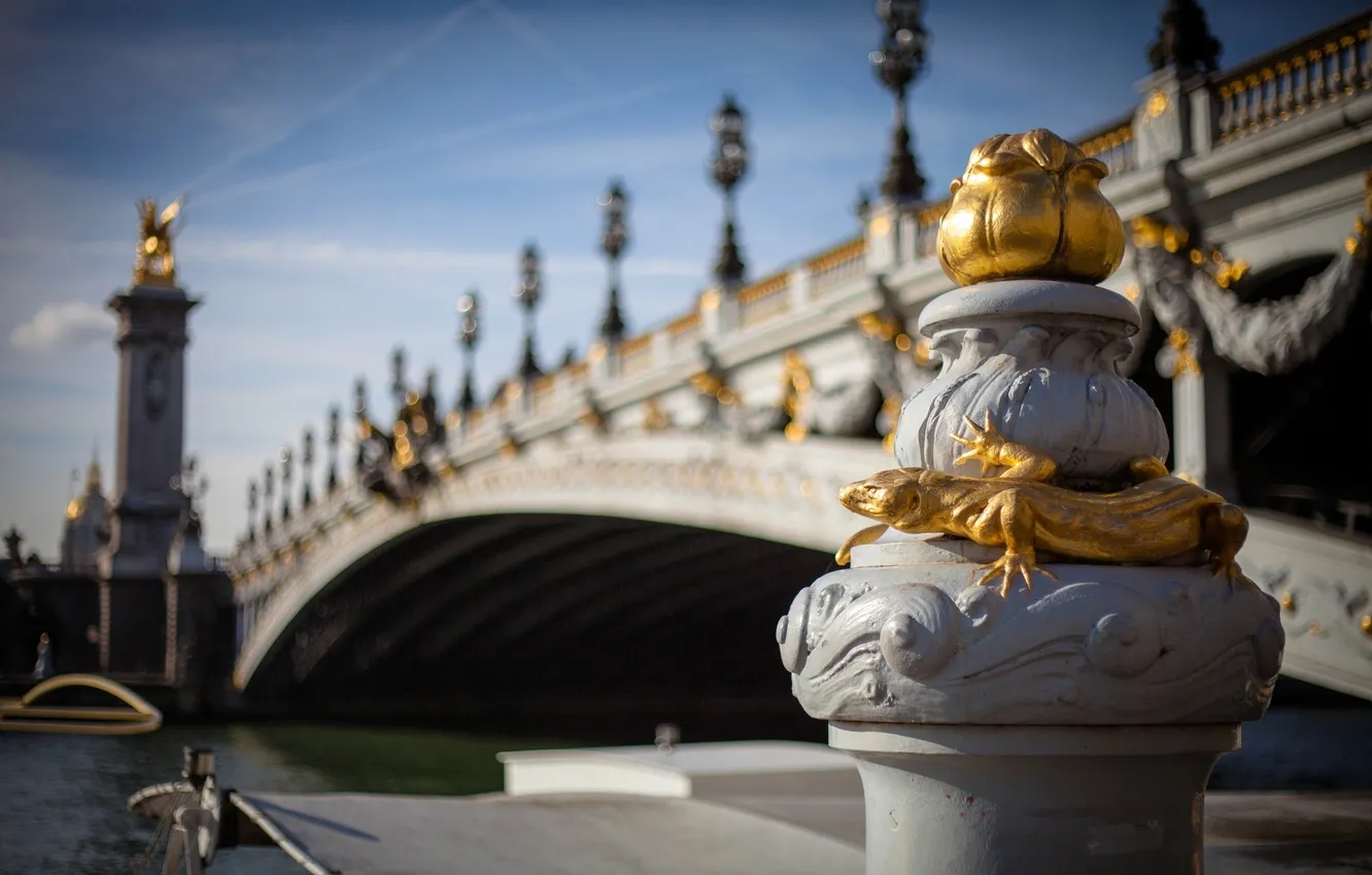 Фото обои мост, город, река, Франция, Париж, размытость, фигура, ящерица