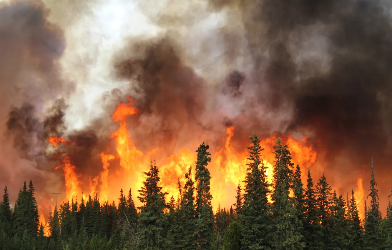 Фото обои fire, flame, summer, hot, nature, alaska, burning, disaster