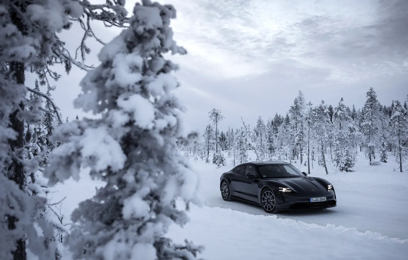 Фото обои снег, деревья, чёрный, Porsche, ели, 2020, Taycan, Taycan 4S